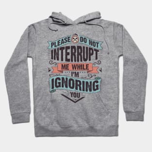 Please do not interrupt me while I'm ignoring you Hoodie